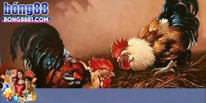 Hướng dẫn cách chơi đá gà Thomo hôm nay